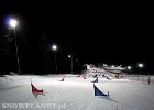 2015_german_snowboard_championships_11.jpg
